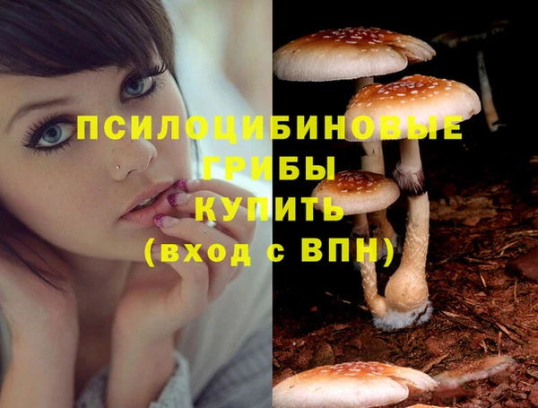 дмт Арсеньев