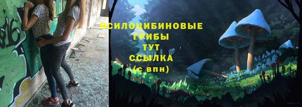 эйфоретик Аркадак