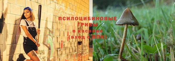 эйфоретик Аркадак