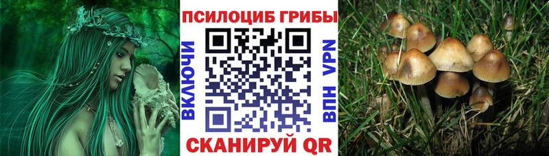 Галлюциногенные грибы MAGIC MUSHROOMS darknet официальный сайт Нолинск где продают